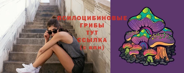 мдпв Арсеньев