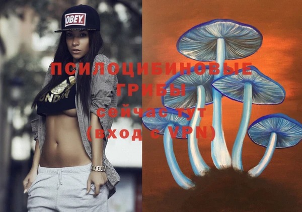 тгк Аркадак