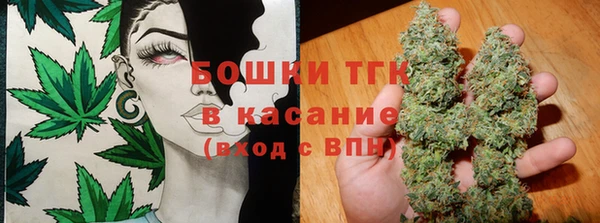 тгк Аркадак