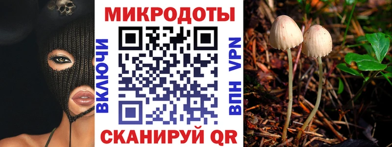 Галлюциногенные грибы мицелий Полярные Зори