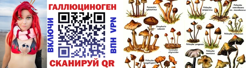 где можно купить   Полярные Зори  Псилоцибиновые грибы ЛСД 